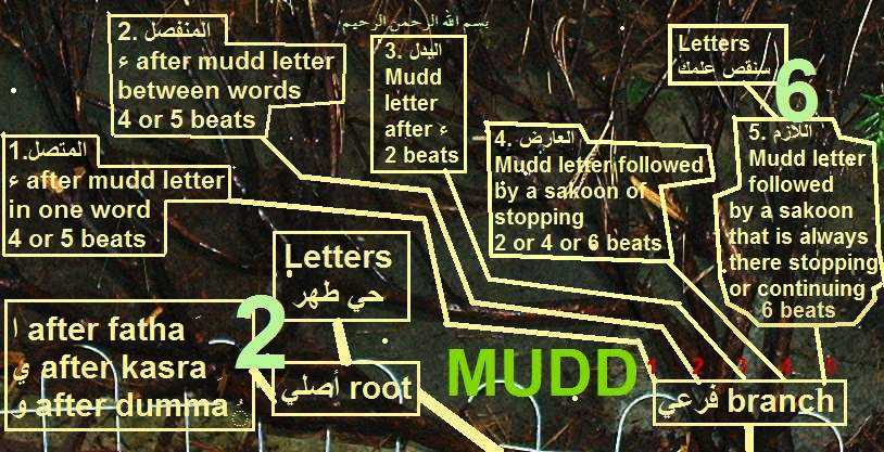 mudd rules